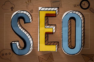 枫林seo，提升网站排名的枫林SEO策略