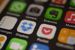 抵押车app(抵押车app软件哪个好)