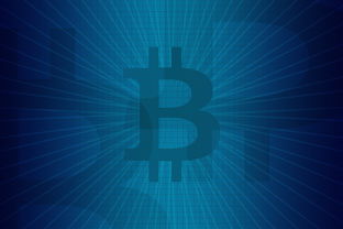 电子商务源码，在线交易系统开发与优化
