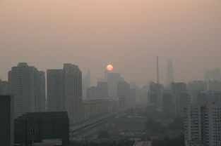 菏泽取消楼市限售(菏泽取消楼市限售了吗)