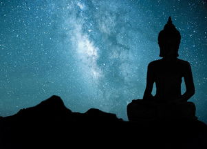 多元宇宙是什么意思(多元宇宙是啥)