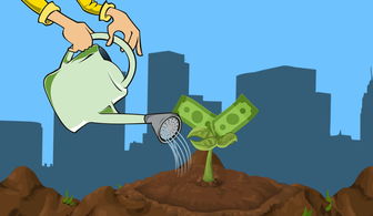 创业板指数基金(创业板指数基金排名前十名)