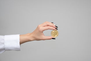 投资公司靠什么赚钱的(股票投资公司靠什么赚钱的)