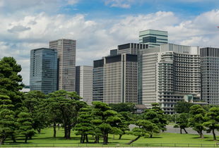 长江养老添年享(长江养老添年享2024年还有吗)