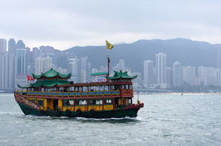 什么叫离岸账户(什么叫离岸账户是什么意思)