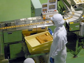 如何注册个体工商户(北京如何注册个体工商户)