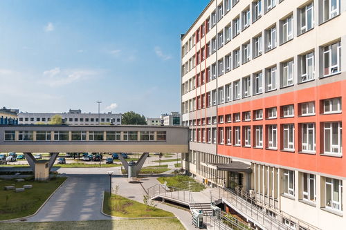 上海理工大学是211吗(华东理工大学是211吗)
