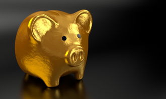 山东黄金a股(山东黄金a股股票行情)