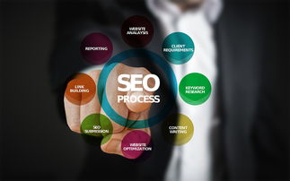 seo案例，提升网站流量的实用策略