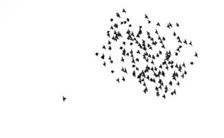 空单是什么意思