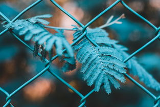 seo技术，提升网站排名的策略