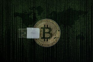 微信支持数字人民币支付(微信支持数字人民币支付怎么用)