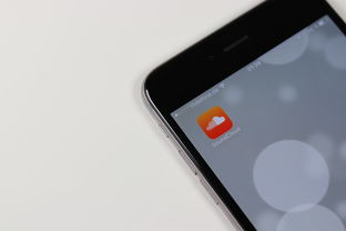 郑州app开发，郑州移动应用定制解决方案