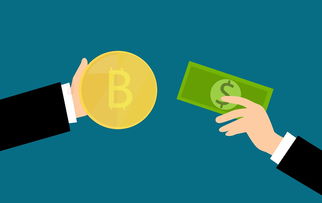 金税盘电子发票导出(金税盘电子发票导出发给客户)