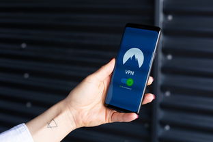 vps安全设置，VPS安全防护措施