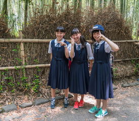 gigsgigscloud日本，日本云服务市场动态分析