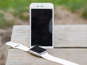 港版iphone6s(港版iphone6splus能用电信卡吗)