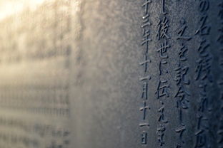 钝化是什么意思(化学钝化是什么意思)