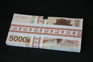 5000元理财(5000元理财一个月能赚多少)