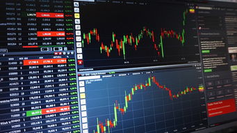 电信一年网费多少钱(电信一年网费多少钱正常)