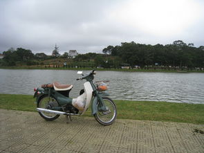 电动助力自行车排名(电动助力自行车排名前十名)