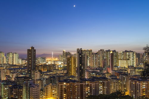 房地产公司排名(房地产公司排名前十)